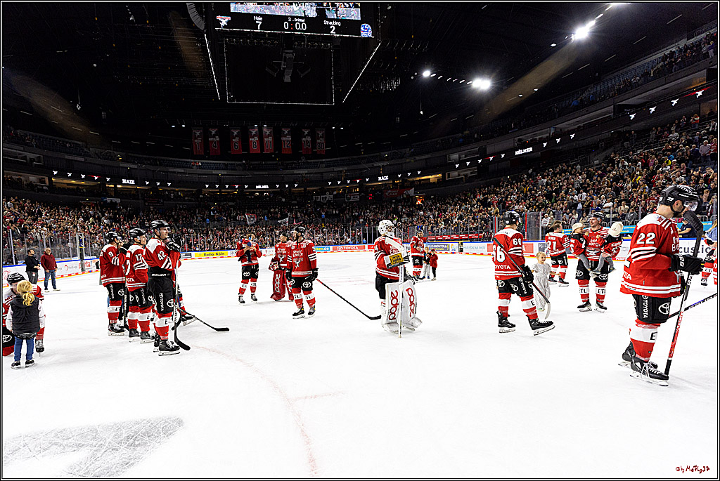 PENNY DEL;  Kölner Haie - Straubing Tigers; Köln, 09.10.2022